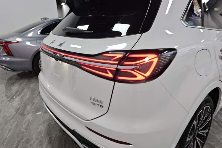 Used Hongqi HS5 2023 2.0T Four-Wheel Drive Flagship Pro Edition Right Rear Taillight