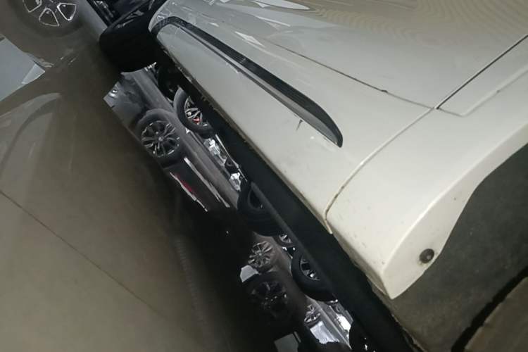 Used Hongqi HS5 2023 2.0T Qixiang Pro Edition Right Side Sill