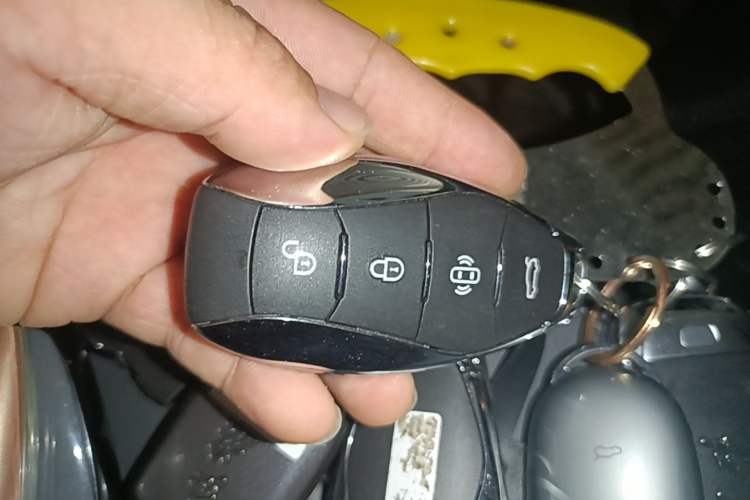 Used Hongqi HS5 2023 2.0T Qixiang Pro Edition Vehicle Key