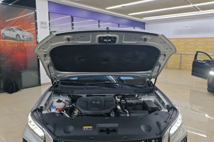 Used Hongqi HS5 2023 2.0T Qixiang Pro Edition Engine Bay