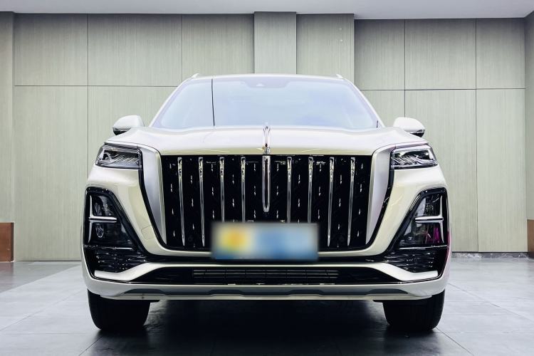 Used Hongqi HS5 2023 2.0T Four-Wheel Drive Flagship Pro Edition Exterior 2