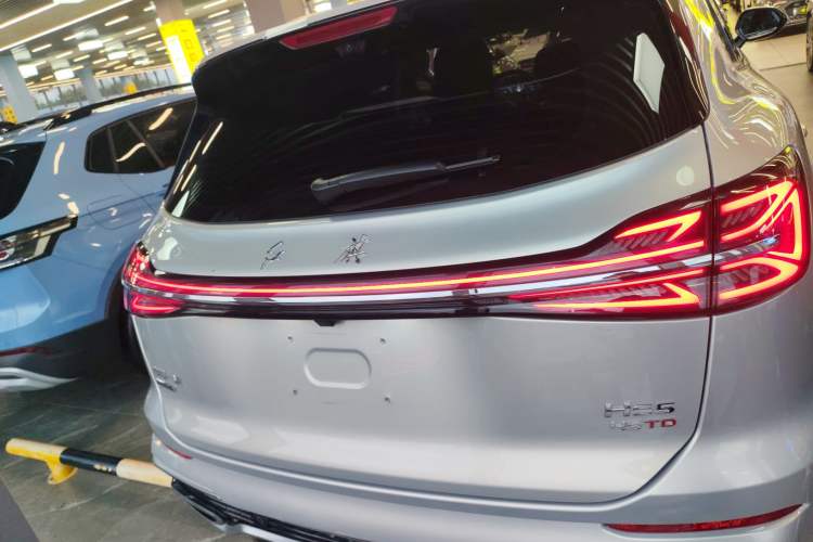 Used Hongqi HS5 2023 2.0T Four-Wheel Drive Flagship Pro Edition Rear