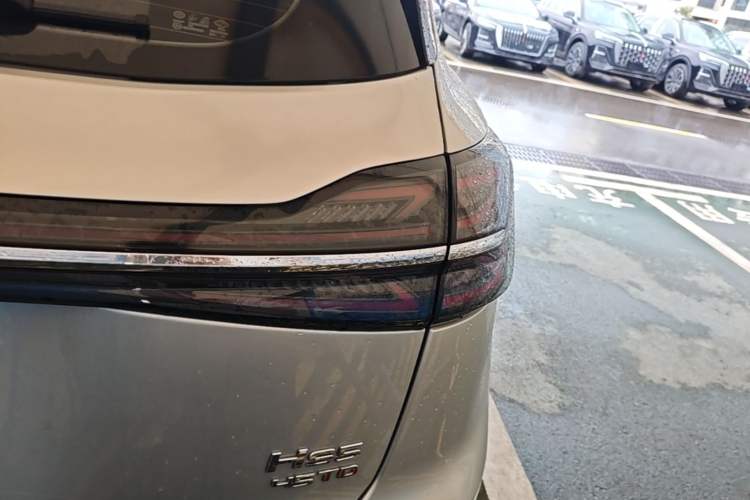 Used Hongqi HS5 2023 2.0T Four-Wheel Drive Flagship Pro Edition Right Rear Taillight