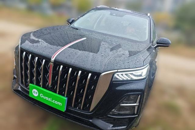 Used Hongqi HS5 2025 2.0T Two-Wheel Drive Flagship Pro Edition