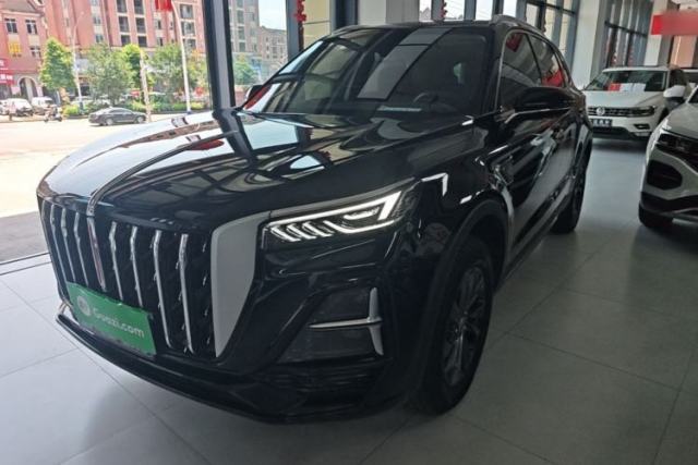 Used Hongqi HS5 2025 2.0T Two-Wheel Drive 600 000-Vehicle Commemorative Edition