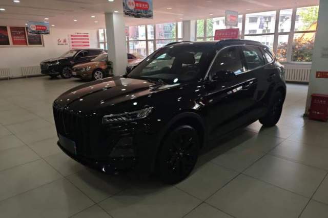 Used Hongqi HS5 2025 2.0T All-Wheel-Drive Xuan Ying Version