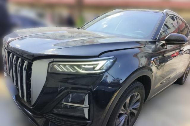 Used Hongqi HS5 2025 2.0T Two-Wheel Drive Flagship Pro Edition