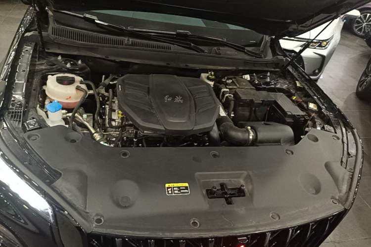 Used Hongqi HS5 2025 2.0T Two-Wheel-Drive Xuan Ying Edition Engine Bay