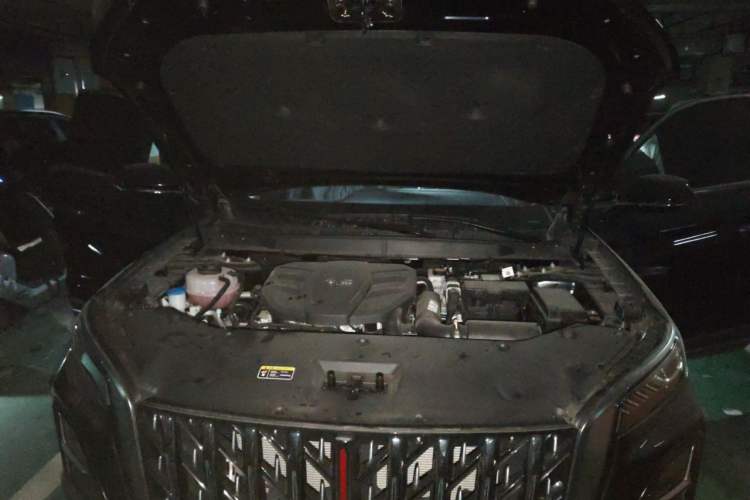 Used Hongqi HS5 2025 2.0T Two-Wheel Drive 600 000-Vehicle Commemorative Edition Engine Bay