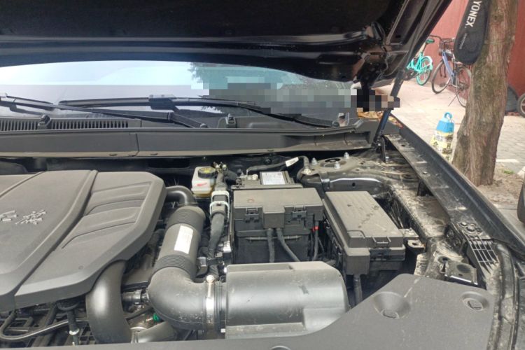 Used Hongqi HS5 2025 2.0T Two-Wheel Drive Flagship Pro Edition Engine Bay Left