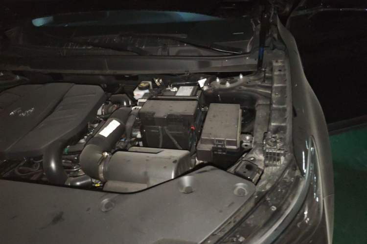 Used Hongqi HS5 2025 2.0T Two-Wheel Drive 600 000-Vehicle Commemorative Edition Engine Bay Left