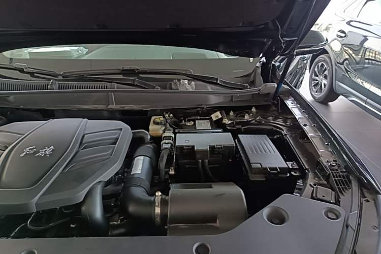 Used Hongqi HS5 2025 2.0T Two-Wheel Drive Flagship Pro Edition Engine Bay Left