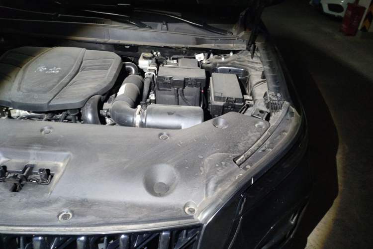 Used Hongqi HS5 2025 2.0T Two-Wheel Drive Flagship Pro Edition Engine Bay Left