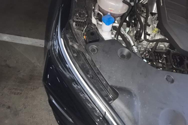 Used Hongqi HS5 2025 2.0T Two-Wheel Drive 600 000-Vehicle Commemorative Edition Engine Bay Right