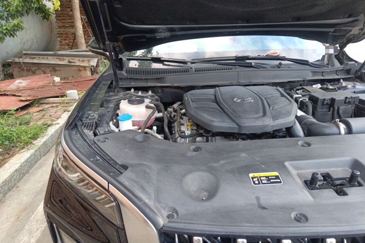 Used Hongqi HS5 2025 2.0T Two-Wheel Drive Flagship Pro Edition Engine Bay Right