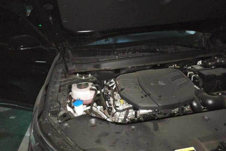 Used Hongqi HS5 2025 2.0T Two-Wheel Drive 600 000-Vehicle Commemorative Edition Engine Bay Right