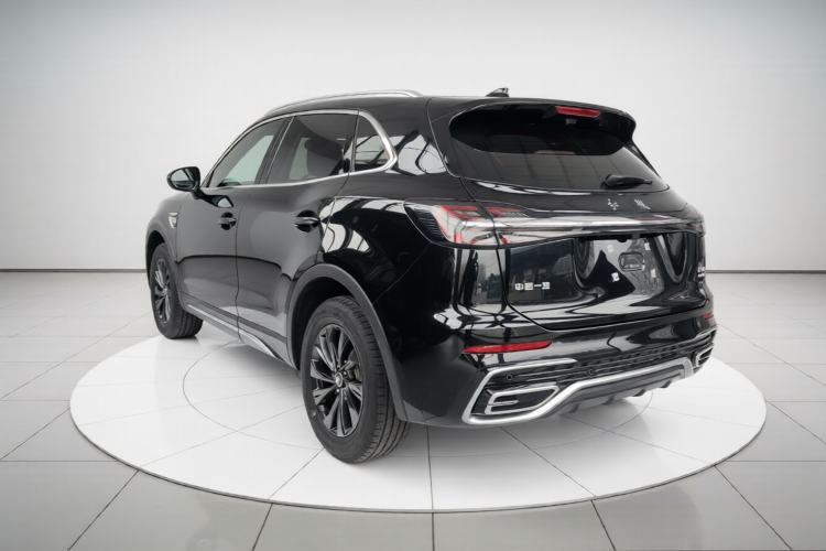 Used Hongqi HS5 2025 2.0T Two-Wheel Drive Flagship Pro Edition Exterior 2