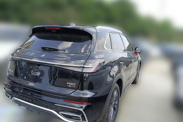 Used Hongqi HS5 2025 2.0T Two-Wheel Drive Flagship Pro Edition Exterior 5