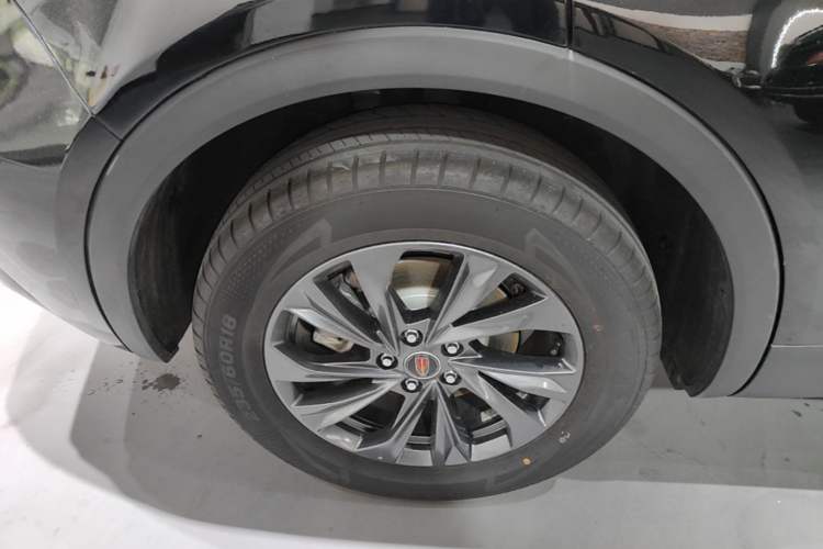 Used Hongqi HS5 2025 2.0T Two-Wheel Drive 600 000-Vehicle Commemorative Edition Exterior 5