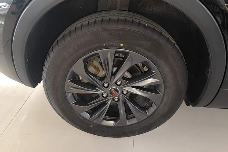 Used Hongqi HS5 2025 2.0T Two-Wheel Drive 600 000-Vehicle Commemorative Edition Exterior 5