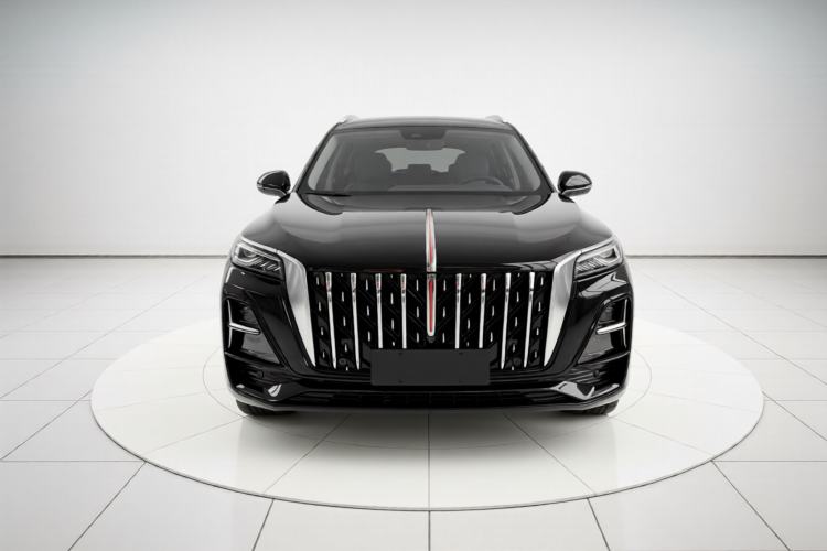Used Hongqi HS5 2025 2.0T Two-Wheel Drive Flagship Pro Edition Front
