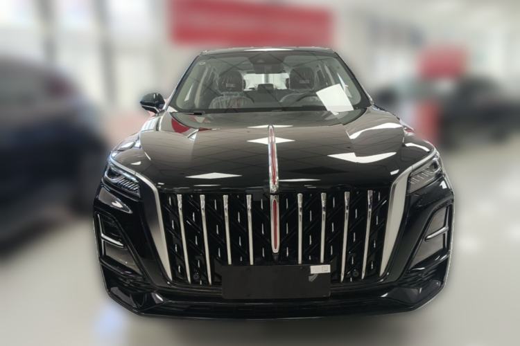 Used Hongqi HS5 2025 2.0T Two-Wheel Drive Flagship Pro Edition Front