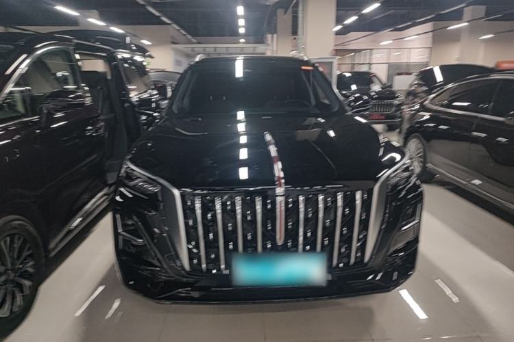 Used Hongqi HS5 2025 2.0T Two-Wheel Drive Flagship Pro Edition Front