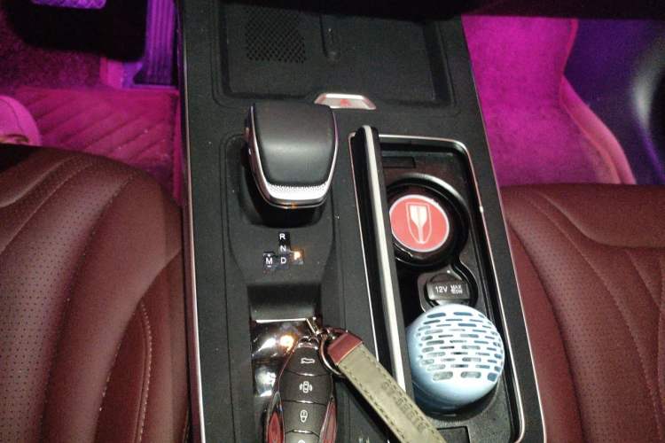 Used Hongqi HS5 2025 2.0T Two-Wheel Drive Flagship Pro Edition Gear Lever