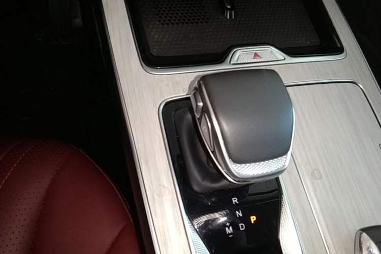 Used Hongqi HS5 2025 2.0T Two-Wheel Drive Flagship Pro Edition Gear Lever