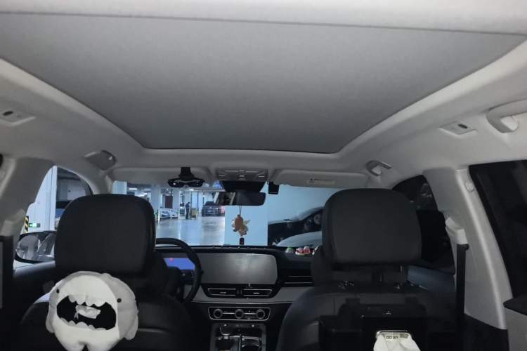 Used Hongqi HS5 2025 2.0T Two-Wheel Drive 600 000-Vehicle Commemorative Edition Headliner