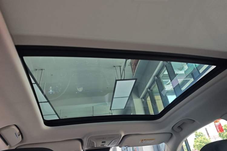 Used Hongqi HS5 2025 2.0T Two-Wheel Drive 600 000-Vehicle Commemorative Edition Headliner