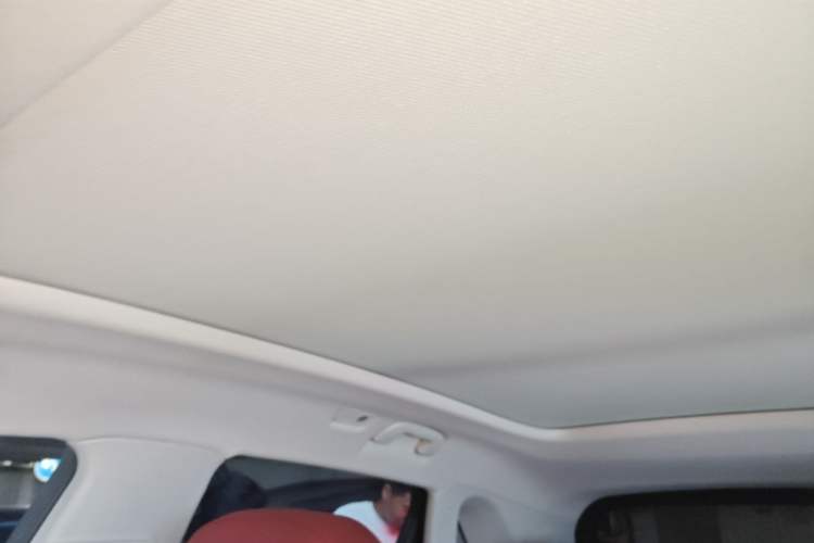 Used Hongqi HS5 2025 2.0T Two-Wheel-Drive Xuan Ying Edition Headliner