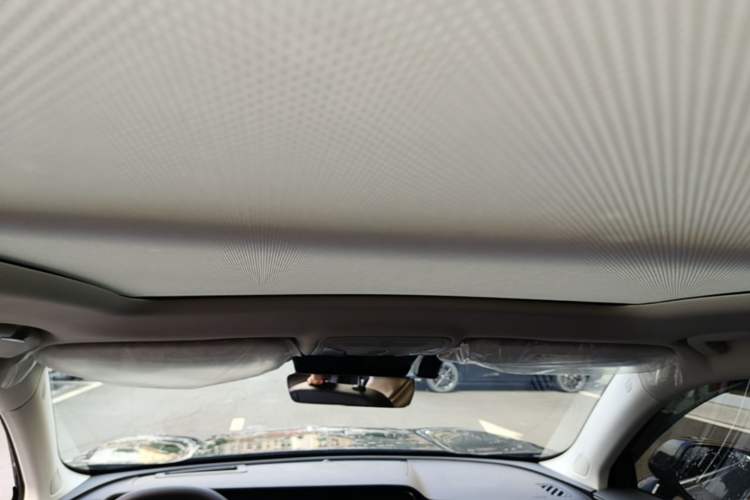 Used Hongqi HS5 2025 2.0T Two-Wheel Drive Flagship Pro Edition Headliner