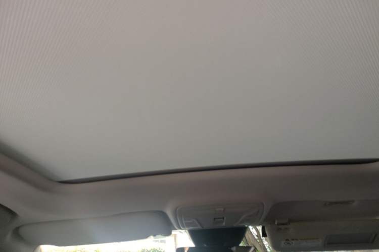 Used Hongqi HS5 2025 2.0T Two-Wheel Drive 600 000-Vehicle Commemorative Edition Headliner