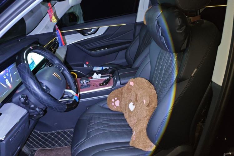 Used Hongqi HS5 2025 2.0T Two-Wheel Drive 600 000-Vehicle Commemorative Edition Left Front Seat
