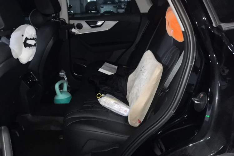 Used Hongqi HS5 2025 2.0T Two-Wheel Drive 600 000-Vehicle Commemorative Edition Left Rear Seat