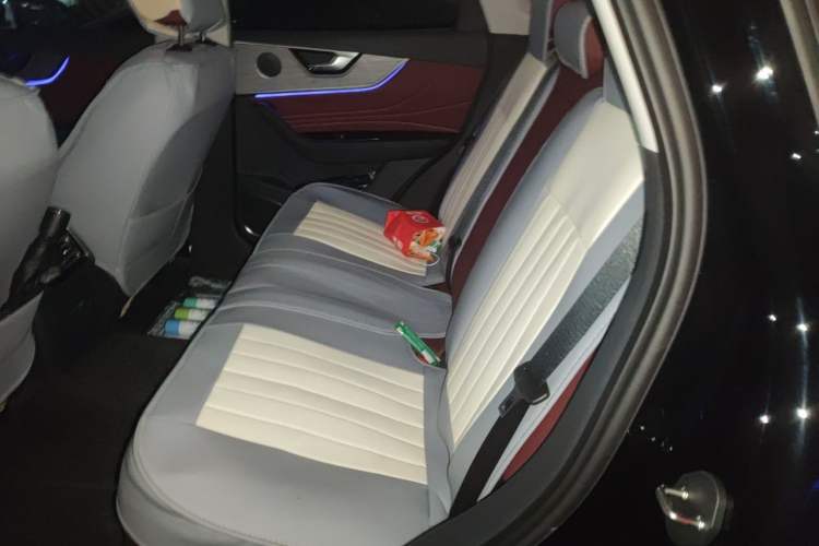 Used Hongqi HS5 2025 2.0T All-Wheel-Drive Flagship Pro Edition Left Rear Seat