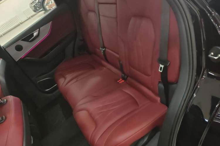 Used Hongqi HS5 2025 2.0T All-Wheel-Drive Xuan Ying Version Left Rear Seat