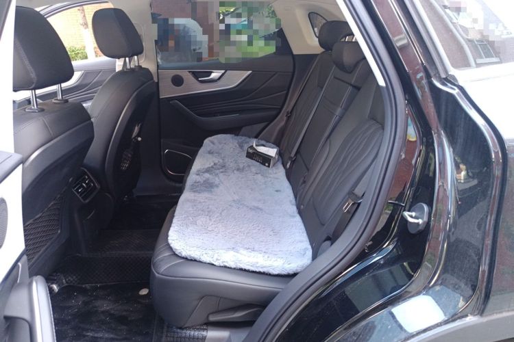 Used Hongqi HS5 2025 2.0T Two-Wheel Drive 600 000-Vehicle Commemorative Edition Left Rear Seat