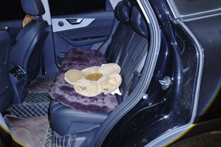 Used Hongqi HS5 2025 2.0T Two-Wheel Drive 600 000-Vehicle Commemorative Edition Left Rear Seat