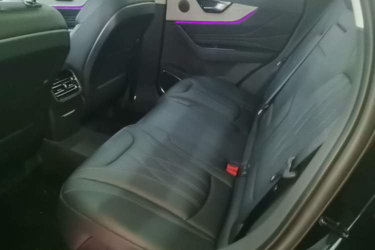 Used Hongqi HS5 2025 2.0T Two-Wheel Drive Flagship Pro Edition Left Rear Seat