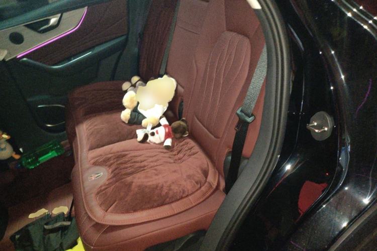 Used Hongqi HS5 2025 2.0T Two-Wheel Drive Flagship Pro Edition Left Rear Seat