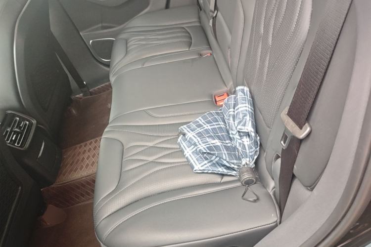 Used Hongqi HS5 2025 2.0T Two-Wheel Drive Flagship Pro Edition Left Rear Seat