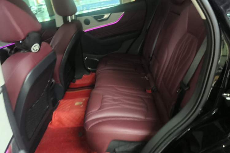 Used Hongqi HS5 2025 2.0T Two-Wheel Drive Flagship Pro Edition Left Rear Seat