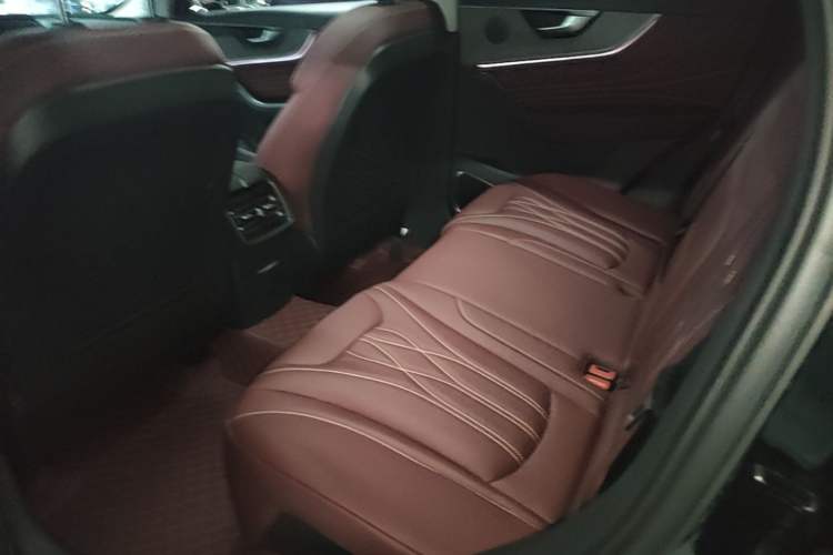 Used Hongqi HS5 2025 2.0T Two-Wheel Drive Flagship Pro Edition Left Rear Seat