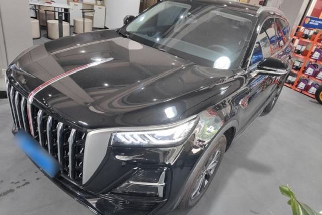 Used Hongqi HS5 2025 2.0T Two-Wheel Drive 600 000-Vehicle Commemorative Edition