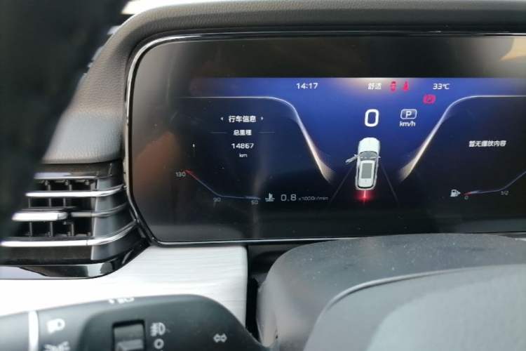 Used Hongqi HS5 2025 2.0T Two-Wheel Drive Flagship Pro Edition Odometer Close Up