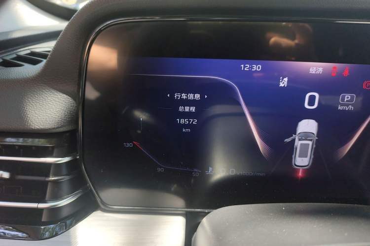 Used Hongqi HS5 2025 2.0T All-Wheel-Drive Flagship Pro Edition Odometer Close Up