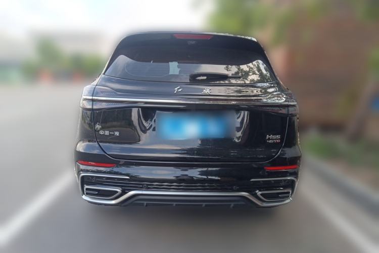 Used Hongqi HS5 2025 2.0T Two-Wheel Drive Flagship Pro Edition Rear