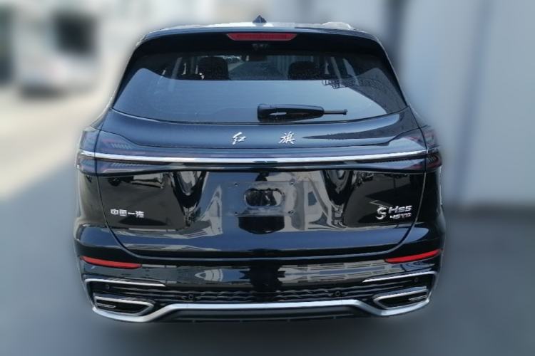 Used Hongqi HS5 2025 2.0T Two-Wheel Drive Flagship Pro Edition Rear